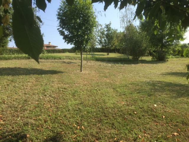 Casa In Campagna _Lori Volta Mantovana Extérieur photo
